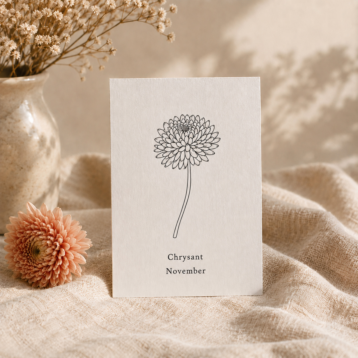 Geboortebloem november - Chrysant