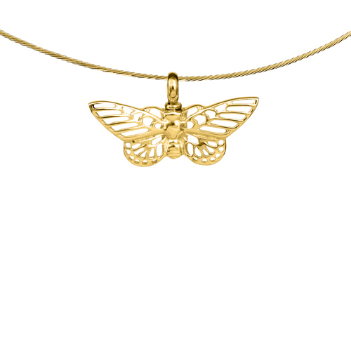 Gouden ashanger vlinder