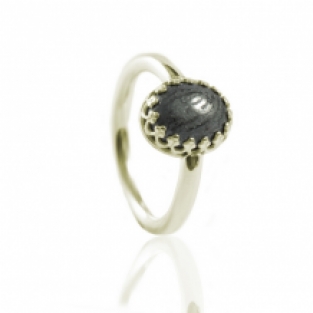 Gouden vingerafdruk ring met onyx