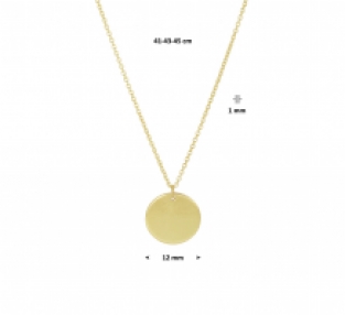 Geelgouden ketting  met rondje 12 mm