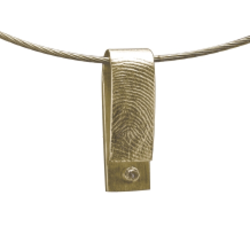 Afdruk hanger goud